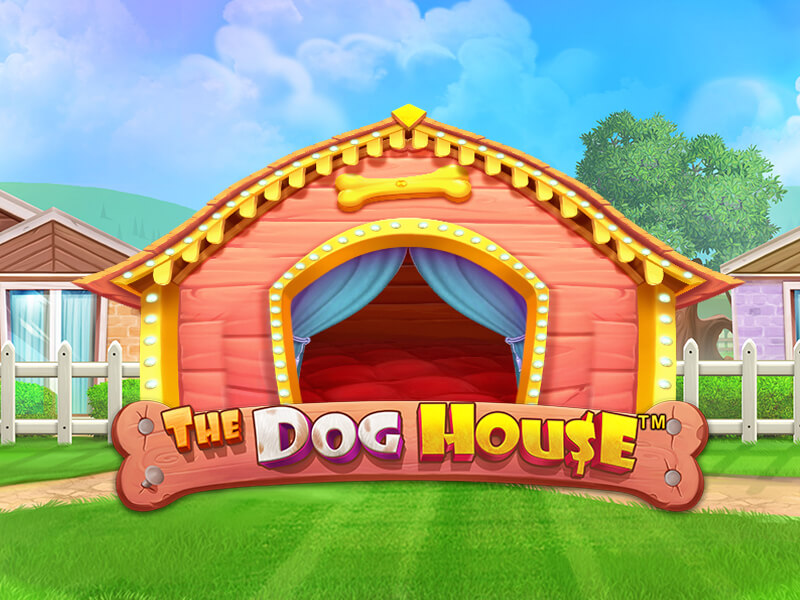 Torneio The Dog House